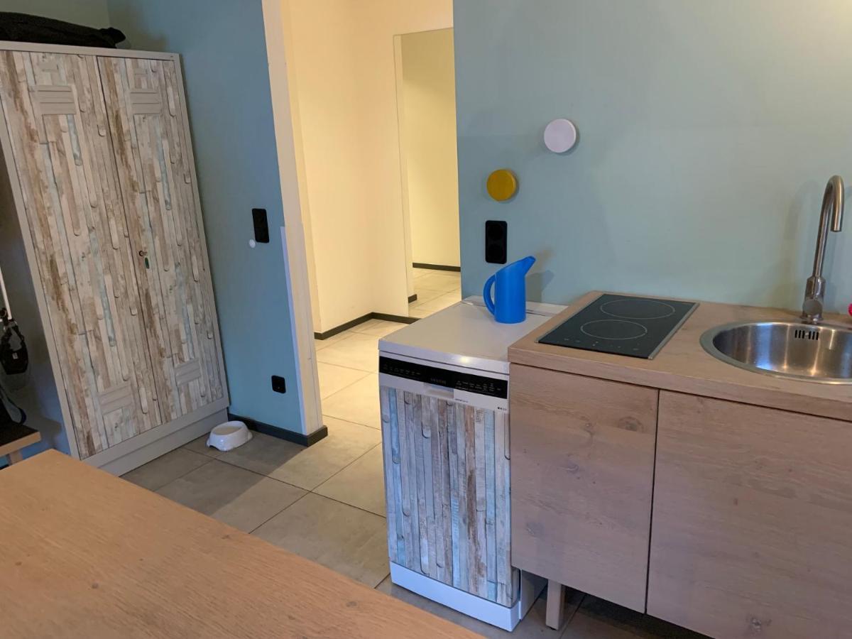 Ferienwohnung Am See Mit Terrasse آشِبيرغ المظهر الخارجي الصورة